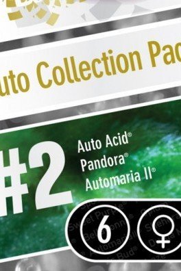 Auto Collection Pack 2 (Paradise Seeds)