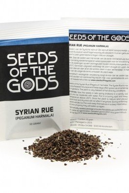 Syrian Rue (Peganum Harmala), 10 grams