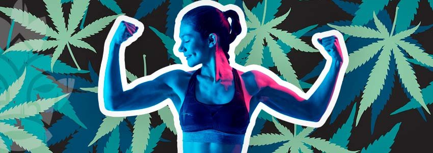 Cannabis Muscle Growth