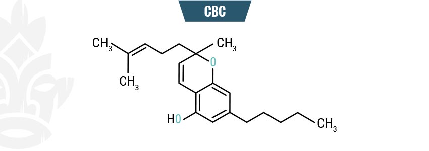 CBC