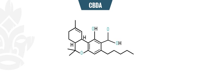 CBDA