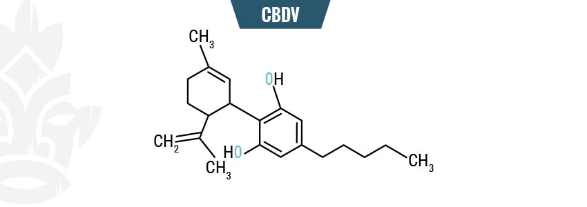 CBDV