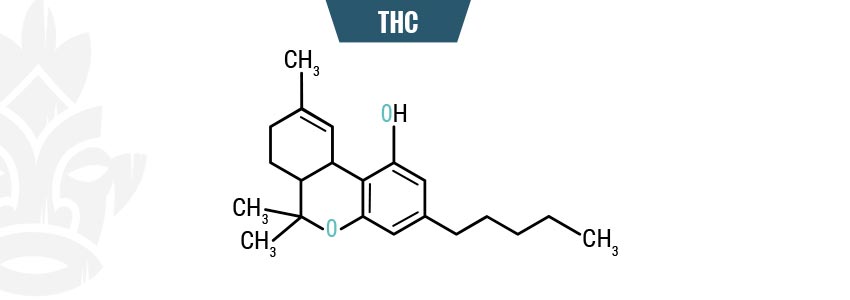 THC