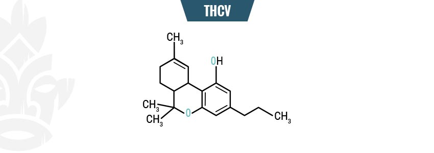 THCV