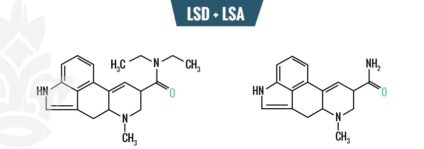 CHEMICAL CONSTITUENTS OF HAWAIIAN BABY WOODROSE SEEDS