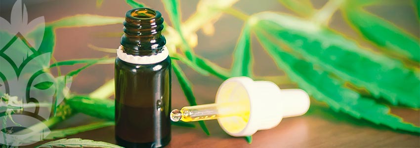 CBD TINCTURES