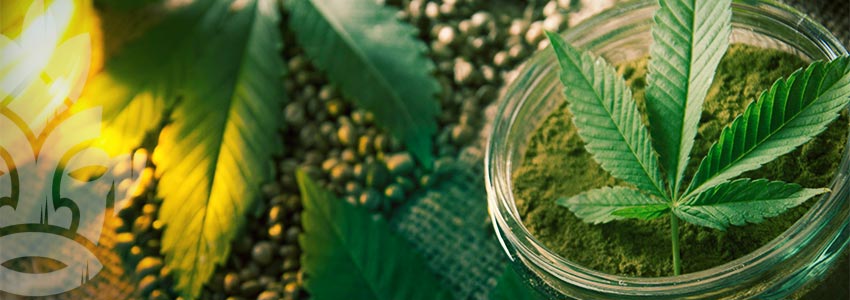 WHICH CBD PRODUCT IS RIGHT FOR YOU?