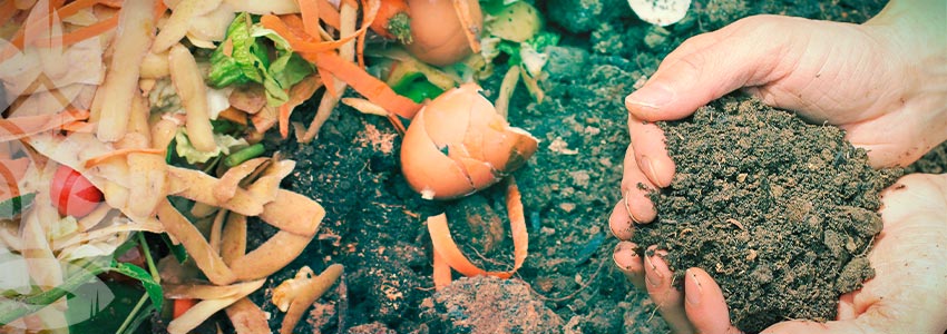 MAKING YOUR OWN COMPOST