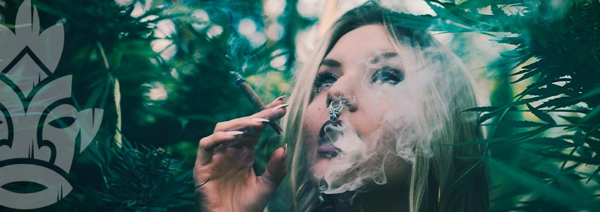 Why Should You Smoke Weed With Low THC Levels?