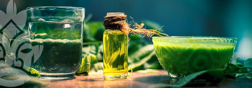 WHAT IS NEEM OIL USED FOR?