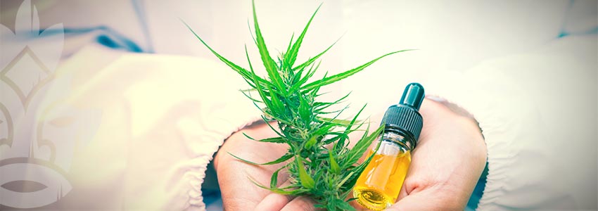 WHY DO YOU WANT TO TAKE CBD OIL?