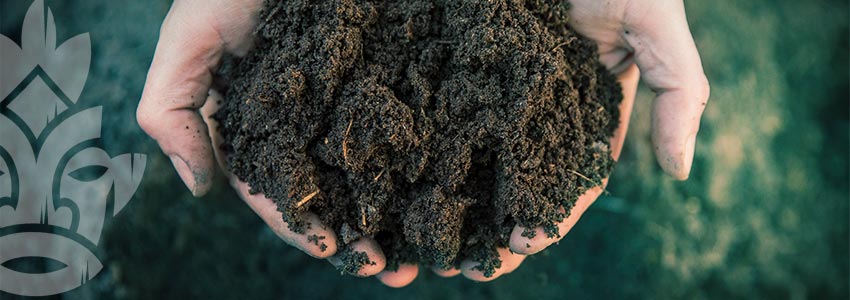 Soil Porosity: Knowledge Is Power