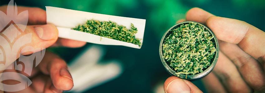 Benefits of a Cannabis Grinder