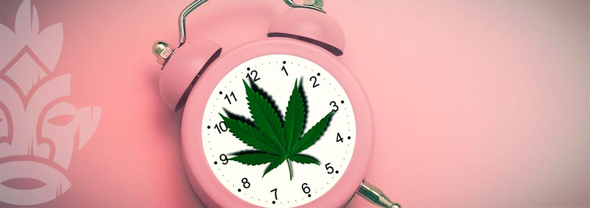 When To Take A Tolerance Break