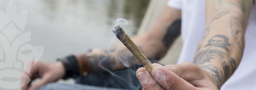 Hash And Weed: Not So Different After All
