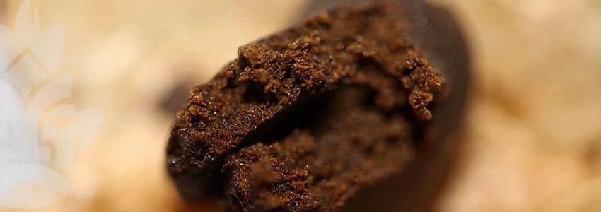 In-depth: Understanding The Difference Between Hash And Weed