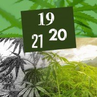 Hemp in the 19th, 20th and 21st Century