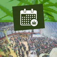 Cannabis Events