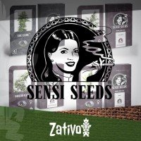 Sensi Seeds Redux Series