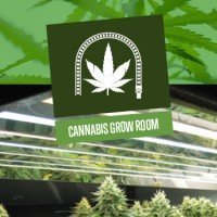 Cannabis Grow Room