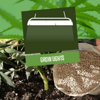 Cannabis Grow Lights