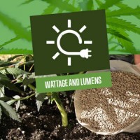 Wattage and Lumens of Cannabis Grow Lights