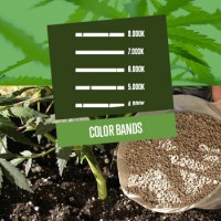 Color Bands and Their Effect on Plant Growth