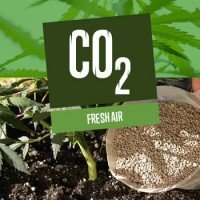 Fresh Air (& CO2) for Cannabis