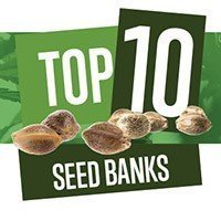 Top 10 Best Cannabis Seed Banks