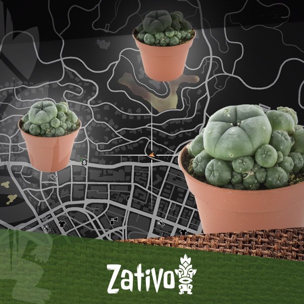 Find Peyote Cacti In GTA 5 - Zativo