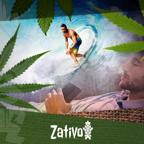 The Duration And Different Levels Of A Weed High - Zamnesia Blog