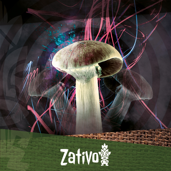 Игровой Автомат Mushroom Magic