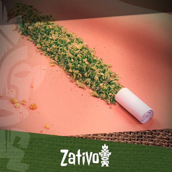 How To Select The Right Type & Size of Rolling Paper - Zamnesia Blog