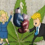 US Presidential Elections: 7 Candidates and Their Views on Cannabis