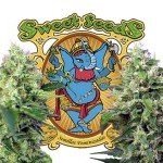 Sweet Seeds releases 2 new strains: Crystal Candy and Blow Mind Auto