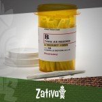 A Look at Cannabis as a Painkiller