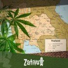 Origins Of The Thai Strains