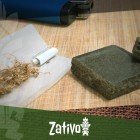 The Origin Of Hashish: A Mysterious History