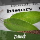 The History Of Salvia