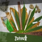The Differences Between Joints, Blunts, And Spliffs