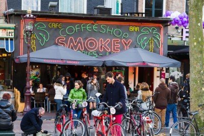 Coffeeshops in the Netherlands Sell Weed Worth 1 Billion Euro a Year