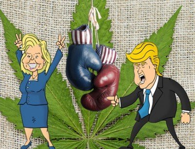 US Presidential Elections: 7 Candidates and Their Views on Cannabis