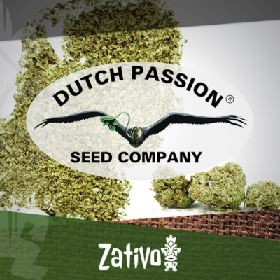 Introduction: 7 New Strains By Dutch Passion