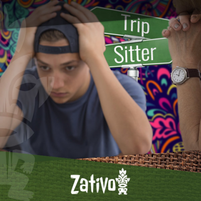 What Is The Perfect Trip Sitter 