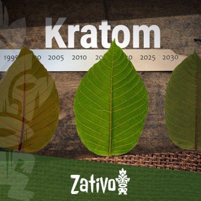 The History Of Kratom