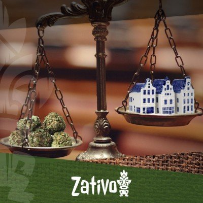 Is Cannabis Legal In Amsterdam?