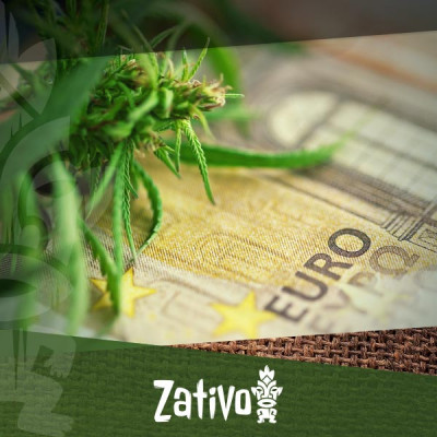 How To Grow Cannabis on a Budget