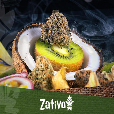 What Are Cannabis Terpenes?